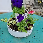 De La Laiterie Avec Petit Jardin.