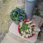 Apartmán De La Laiterie Avec Petit Jardin.