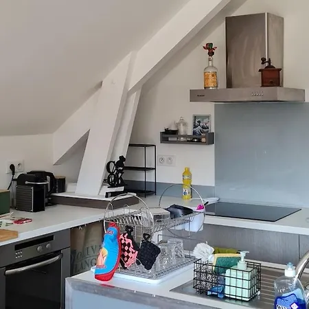Apartmán De La Laiterie Avec Petit Jardin. Eysus
