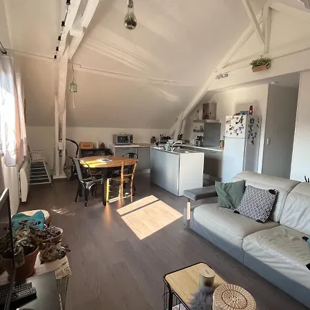 Apartmán De La Laiterie Avec Petit Jardin.