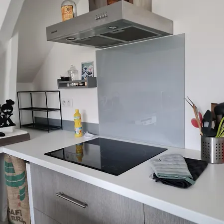 De La Laiterie Avec Petit Jardin. Apartmán *